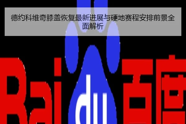 德约科维奇膝盖恢复最新进展与硬地赛程安排前景全面解析